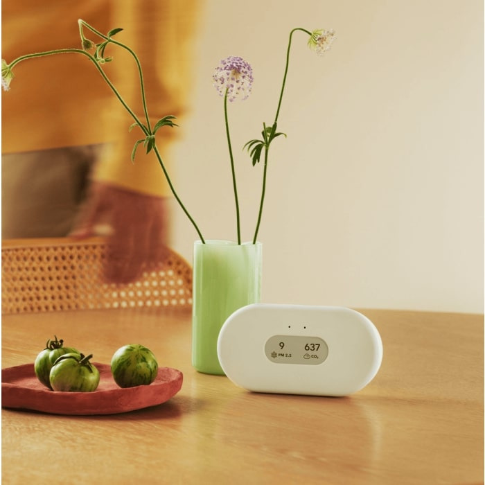 Airthings View Plus