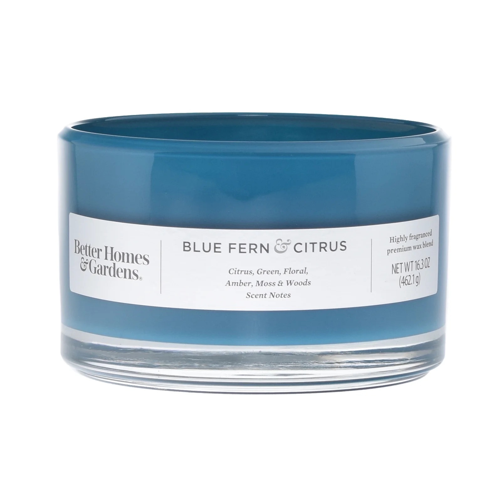 Blue Fern & Citrus Scented 3-Wick Dish Candle 16 oz