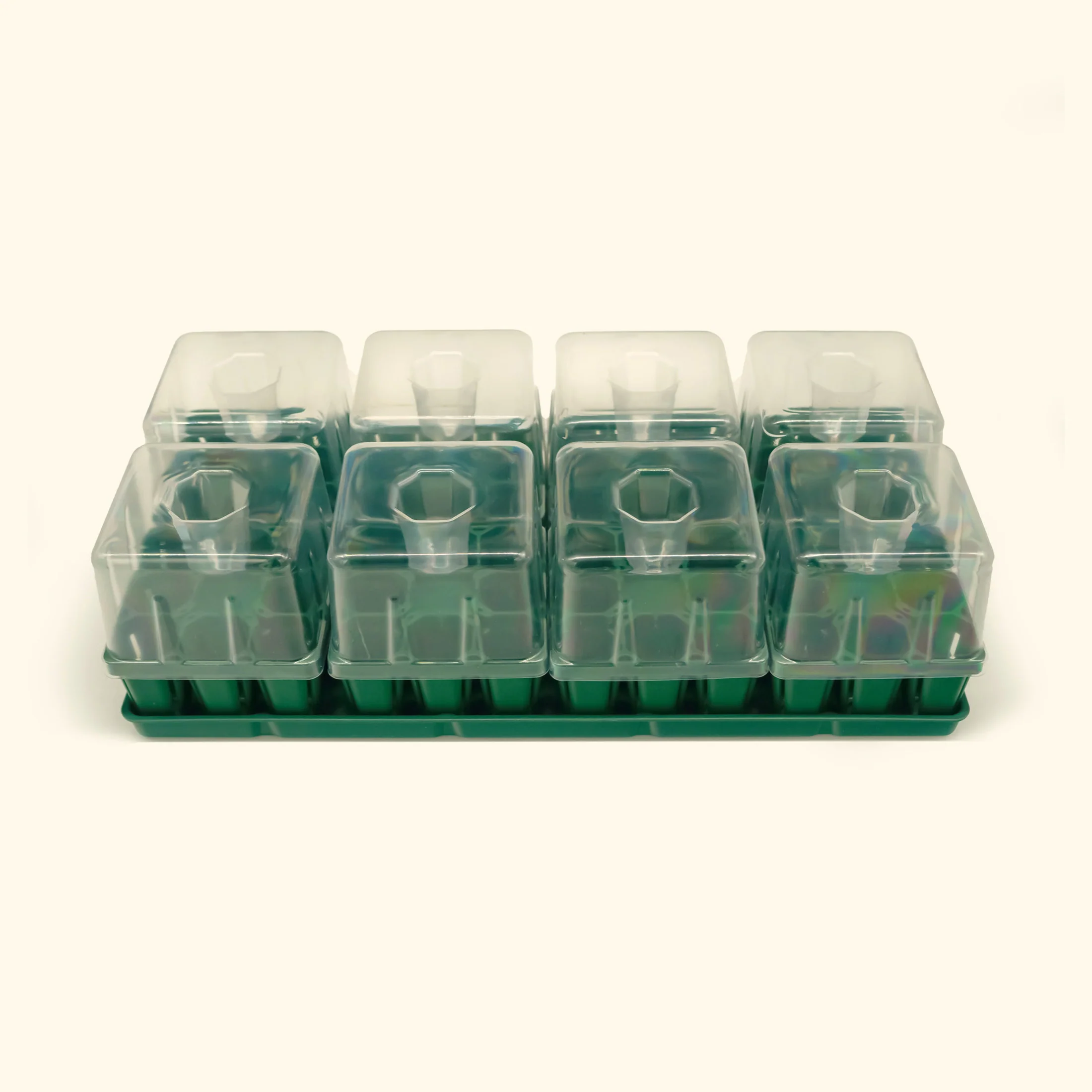Vego Garden Seed Starting Bundle with Lid - 10" x 20"